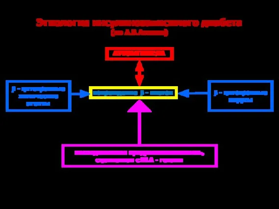 β - цитотропные химические агенты Этиология инсулинозависимого диабета (по А.В.Атаман) АУТОАНТИТЕЛА