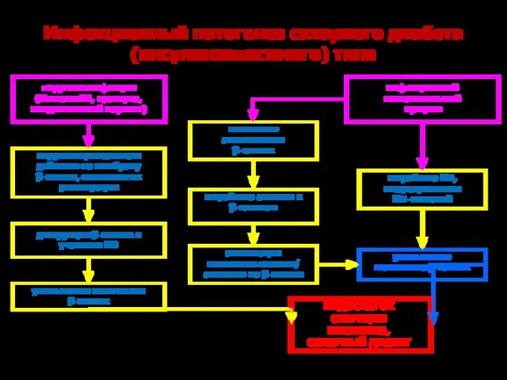 Инфекционный патогенез сахарного диабета (инсулинзависимого) типа вирусные инфекции (Коксаки В4, краснуха,