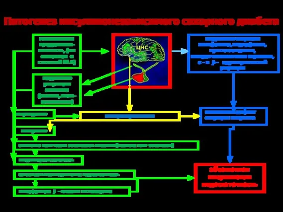 Патогенез инсулинонезависимого сахарного диабета генетическая предрасполо- женность, (не связанная с системой
