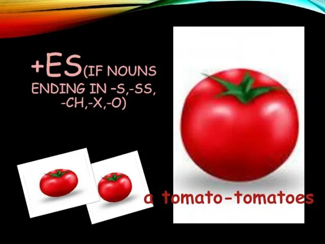 +ES(IF NOUNS ENDING IN –S,-SS, -CH,-X,-O) a tomato-tomatoes