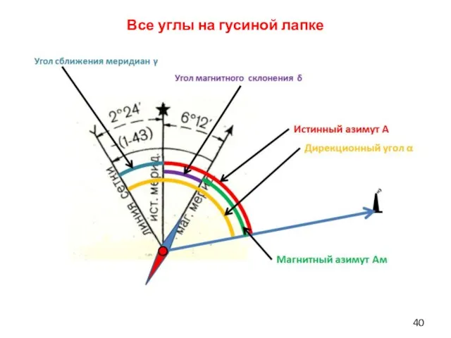 Все углы на гусиной лапке