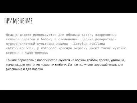 применение Лещина широко используется для обсадки дорог, закрепления склонов оврагов и