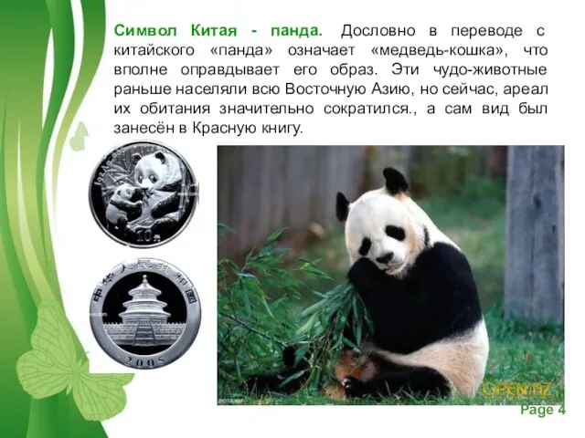 Символ Китая - панда. Дословно в переводе с китайского «панда» означает