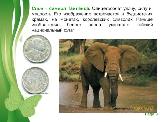 Слон – символ Таиланда. Олицетворяет удачу, силу и мудрость Его изображение