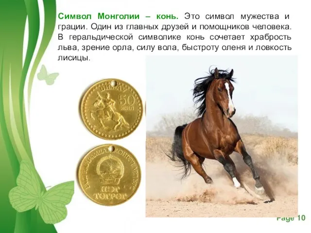 Символ Монголии – конь. Это символ мужества и грации. Один из