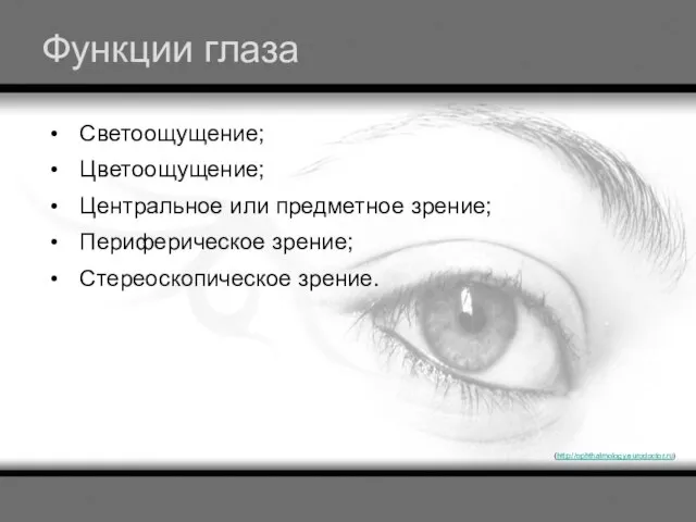 Функции глаза Светоощущение; Цветоощущение; Центральное или предметное зрение; Периферическое зрение; Стереоскопическое зрение. (http://ophthalmology.eurodoctor.ru)