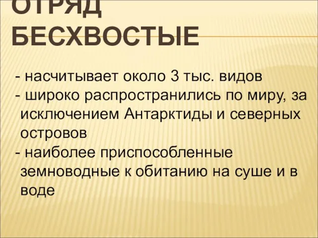 ОТРЯД БЕСХВОСТЫЕ насчитывает около 3 тыс. видов широко распространились по миру,