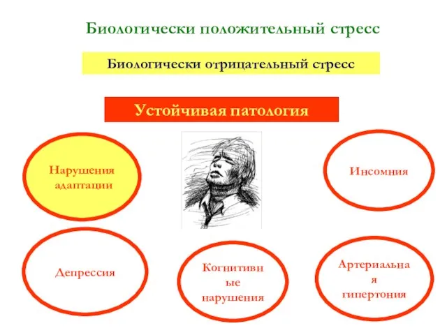 Биологически положительный стресс Биологически отрицательный стресс Устойчивая патология Артериальная гипертония Депрессия Инсомния Нарушения адаптации Когнитивные нарушения