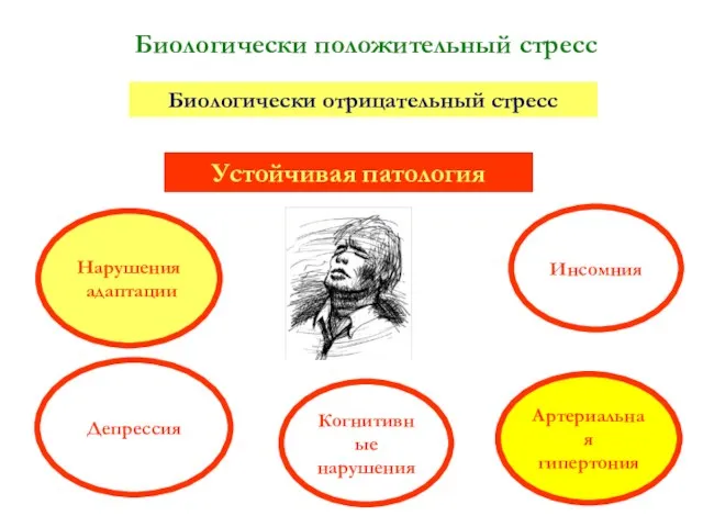 Биологически положительный стресс Биологически отрицательный стресс Устойчивая патология Артериальная гипертония Депрессия Инсомния Нарушения адаптации Когнитивные нарушения