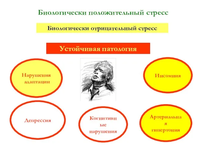 Биологически положительный стресс Биологически отрицательный стресс Устойчивая патология Артериальная гипертония Депрессия Инсомния Нарушения адаптации Когнитивные нарушения