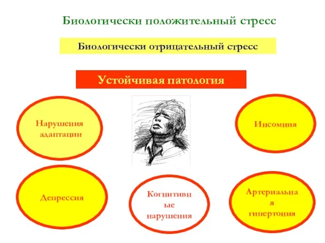 Биологически положительный стресс Биологически отрицательный стресс Устойчивая патология Артериальная гипертония Депрессия Инсомния Нарушения адаптации Когнитивные нарушения