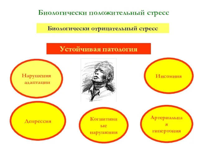 Биологически положительный стресс Биологически отрицательный стресс Устойчивая патология Артериальная гипертония Депрессия Инсомния Нарушения адаптации Когнитивные нарушения