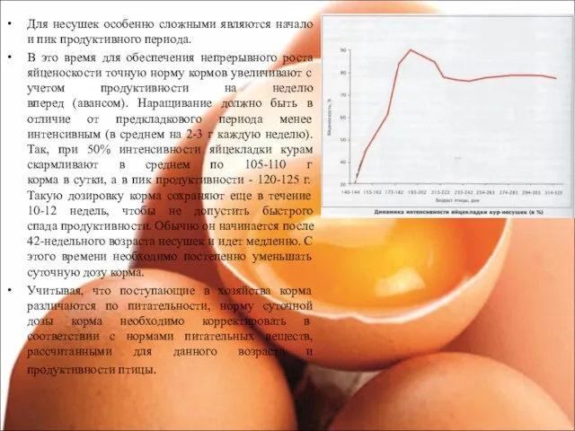 Для несушек особенно сложными являются начало и пик продуктивного периода. В