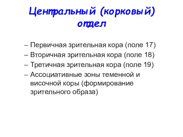 Центральный (корковый) отдел Первичная зрительная кора (поле 17) Вторичная зрительная кора