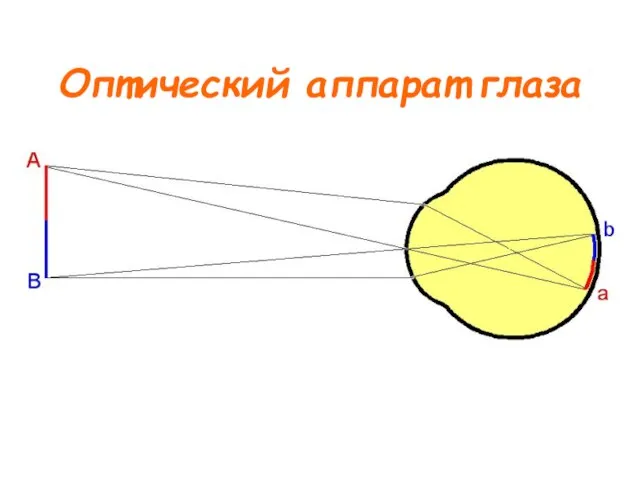 Оптический аппарат глаза