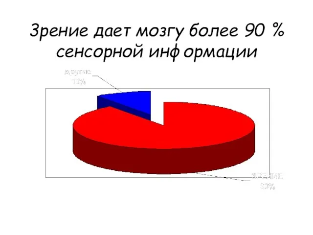 3рение дает мозгу более 90 % сенсорной информации