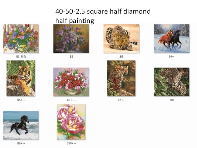 40-50-2.5 square half diamond half painting