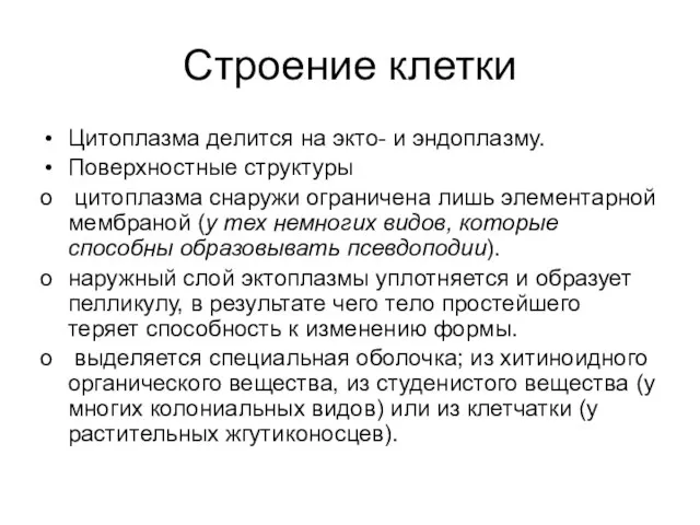 Строение клетки Цитоплазма делится на экто- и эндоплазму. Поверхностные структуры цитоплазма