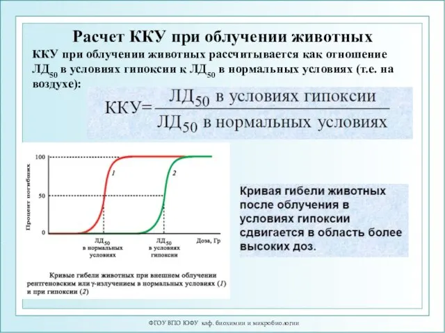 ФГОУ ВПО ЮФУ каф. биохимии и микробиологии Расчет ККУ при облучении