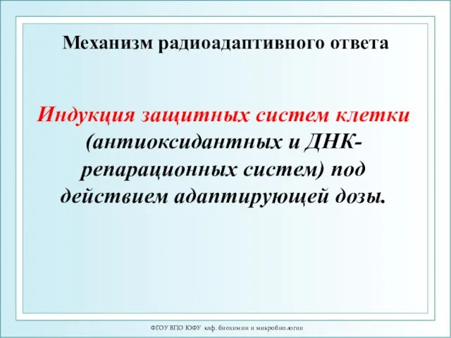 ФГОУ ВПО ЮФУ каф. биохимии и микробиологии Механизм радиоадаптивного ответа Индукция