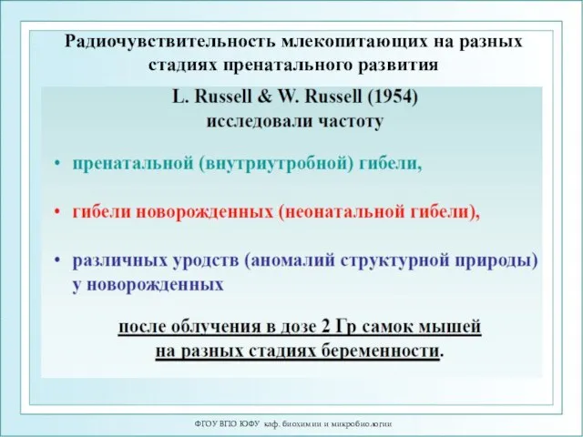 Радиочувствительность млекопитающих на разных стадиях пренатального развития ФГОУ ВПО ЮФУ каф. биохимии и микробиологии