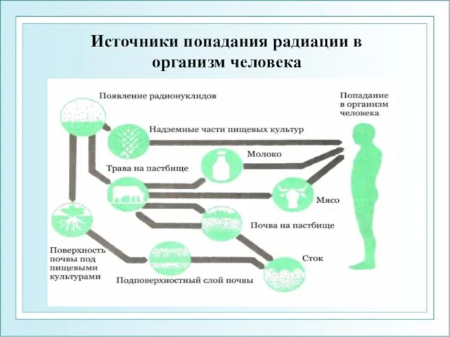 Источники попадания радиации в организм человека