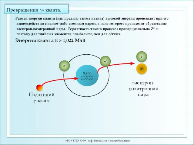 Превращения γ- кванта. ФГОУ ВПО ЮФУ каф. биохимии и микробиологии Размен