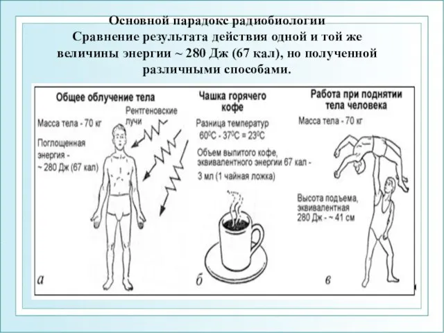 Основной парадокс радиобиологии Сравнение результата действия одной и той же величины