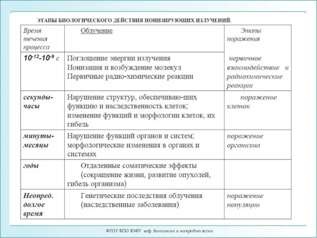 ФГОУ ВПО ЮФУ каф. биохимии и микробиологии