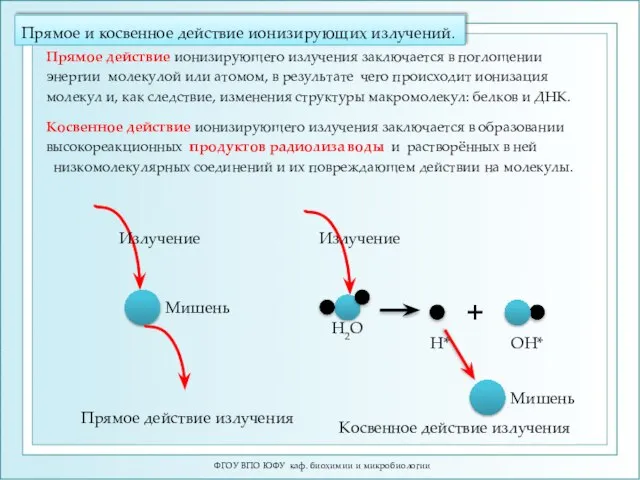 Прямое и косвенное действие ионизирующих излучений. ФГОУ ВПО ЮФУ каф. биохимии