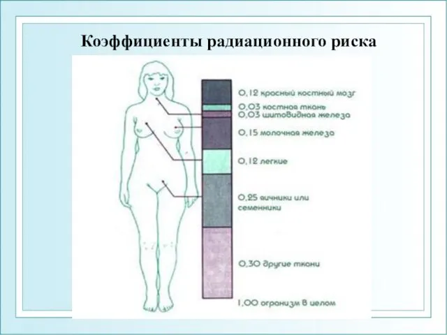 Коэффициенты радиационного риска