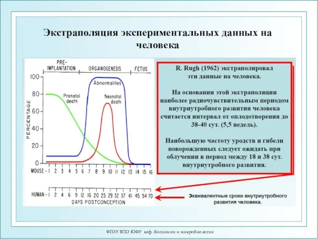 Экстраполяция экспериментальных данных на человека ФГОУ ВПО ЮФУ каф. биохимии и микробиологии