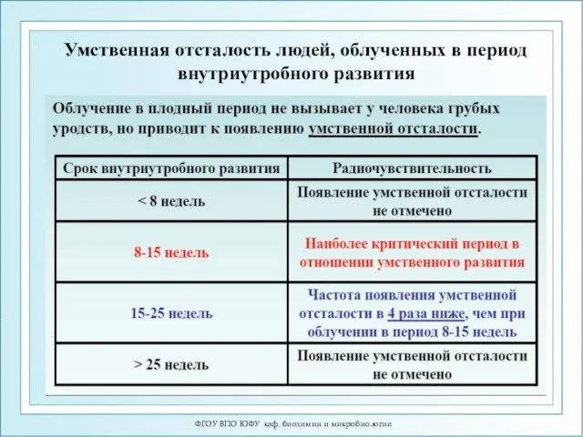 Умственная отсталость людей, облученных в период внутриутробного развития ФГОУ ВПО ЮФУ каф. биохимии и микробиологии