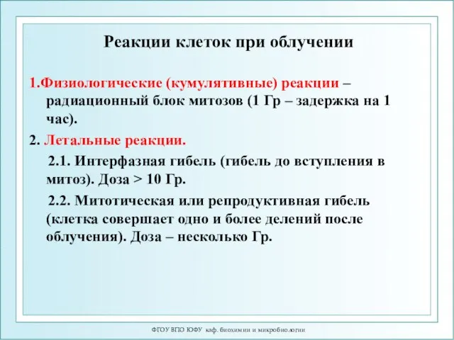 Реакции клеток при облучении 1.Физиологические (кумулятивные) реакции – радиационный блок митозов