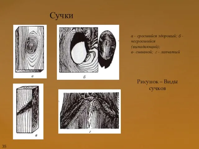 Сучки а - сросшийся здоровый; б - несросшийся (выпадающий); в- сшивной;