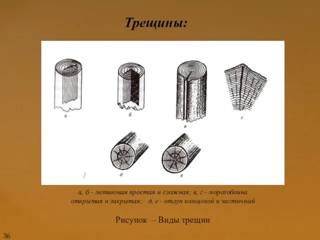 Трещины: а, б - метиковая простая и сложная; в, г -