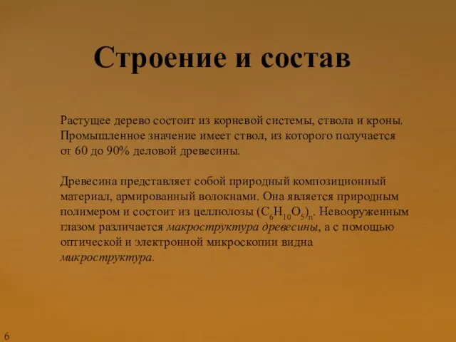 Строение и состав Растущее дерево состоит из корневой системы, ствола и