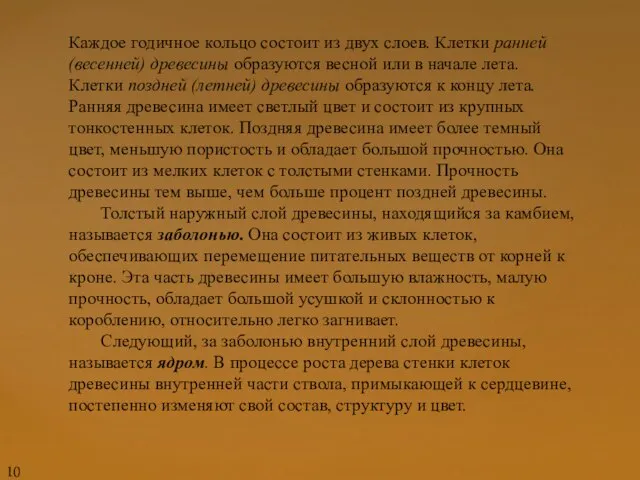 Каждое годичное кольцо состоит из двух слоев. Клетки ранней (весенней) древесины