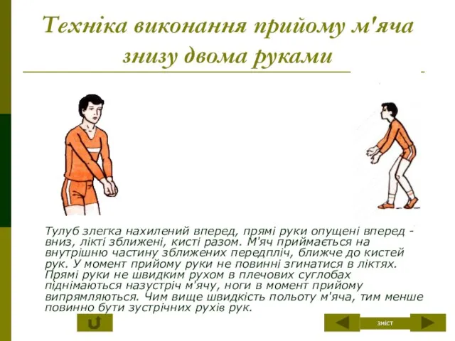 Техніка виконання прийому м'яча знизу двома руками Тулуб злегка нахилений вперед,