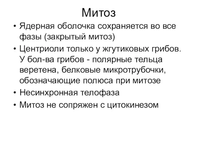 Митоз Ядерная оболочка сохраняется во все фазы (закрытый митоз) Центриоли только