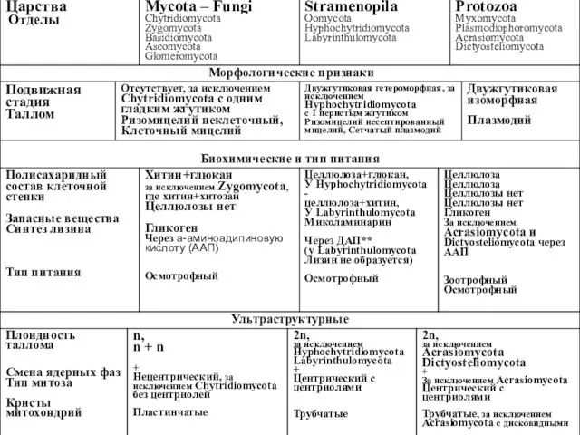 ** – диаминопимелиновую кислоту