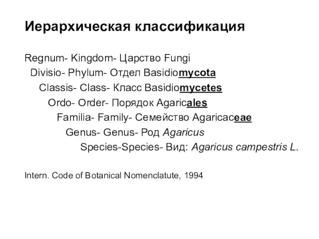 Иерархическая классификация Regnum- Kingdom- Царство Fungi Divisio- Phylum- Отдел Basidiomycota Classis-