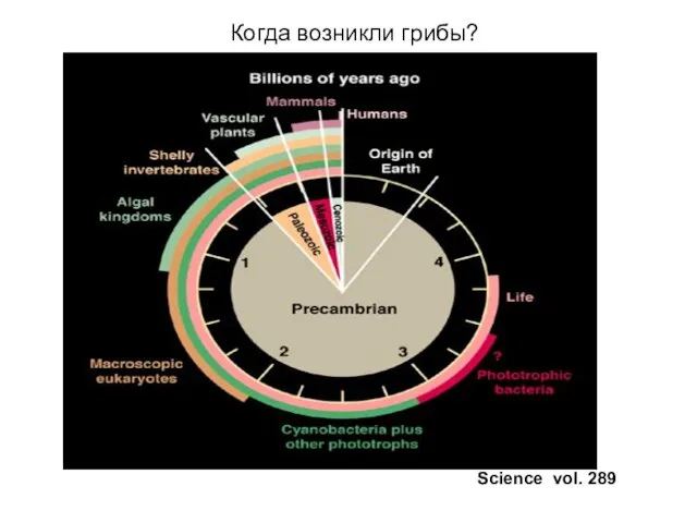 Когда возникли грибы? Science vol. 289