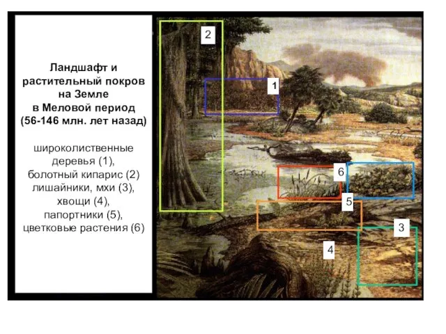 Ландшафт и растительный покров на Земле в Меловой период (56-146 млн.