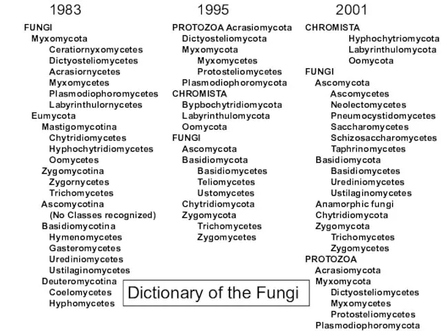 CНROMISTA Hyphochytriomycota Labyrinthulomycota Oomycota FUNGI Ascomycota Ascomycetes Neolectomycetes Pneumocystidomycetes Saccharomycetes Schizosaccharomycetes