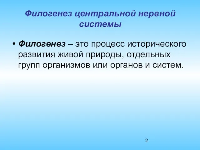 Филогенез центральной нервной системы Филогенез – это процесс исторического развития живой