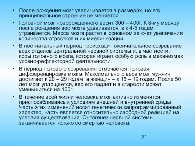 После рождения мозг увеличивается в размерах, но его принципиальное строение не