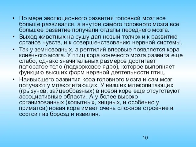 По мере эволюционного развития головной мозг все больше развивался, а внутри