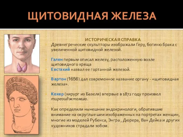 ЩИТОВИДНАЯ ЖЕЛЕЗА ИСТОРИЧЕСКАЯ СПРАВКА Древнегреческие скульпторы изображали Геру, богиню брака с