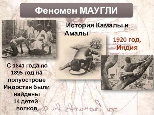 Феномен МАУГЛИ С 1841 года по 1895 год на полуострове Индостан